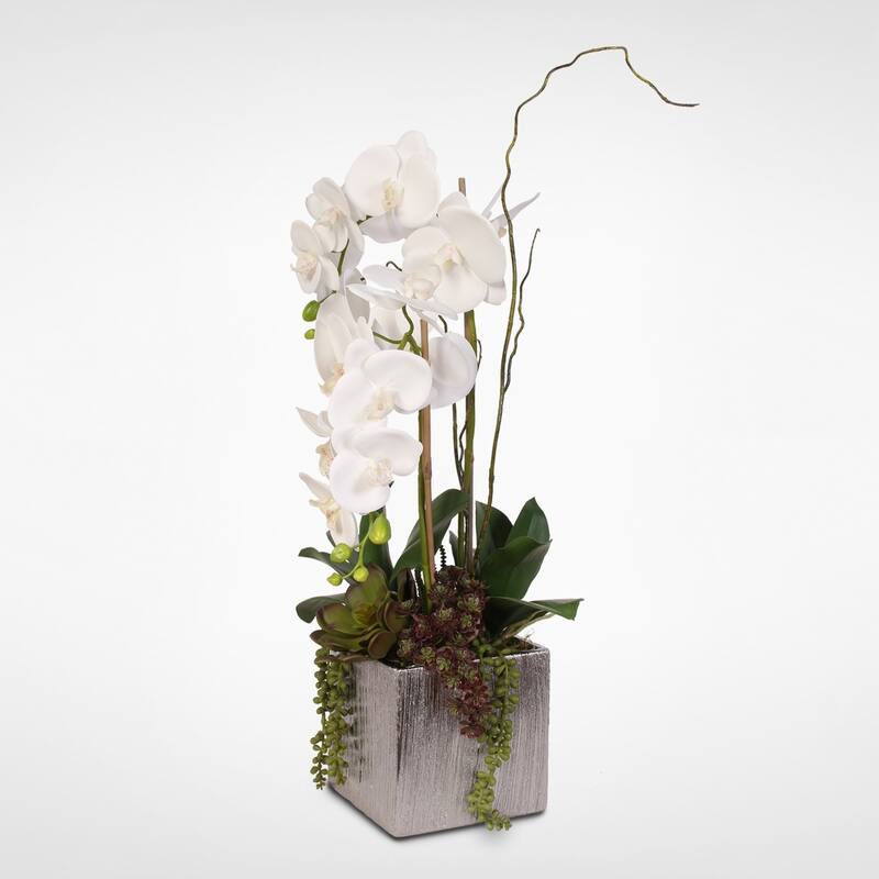 Real Touch White Phalaenopsis Orchids With Succulents in Silver Ceramic Pot