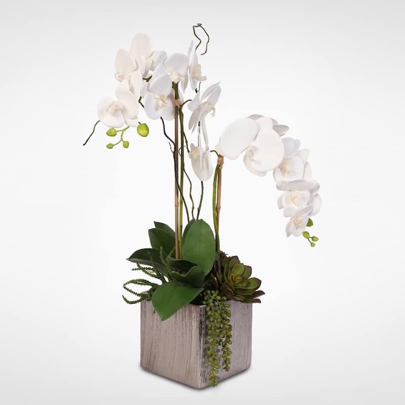 Real Touch White Phalaenopsis Orchids With Succulents in Silver Ceramic Pot