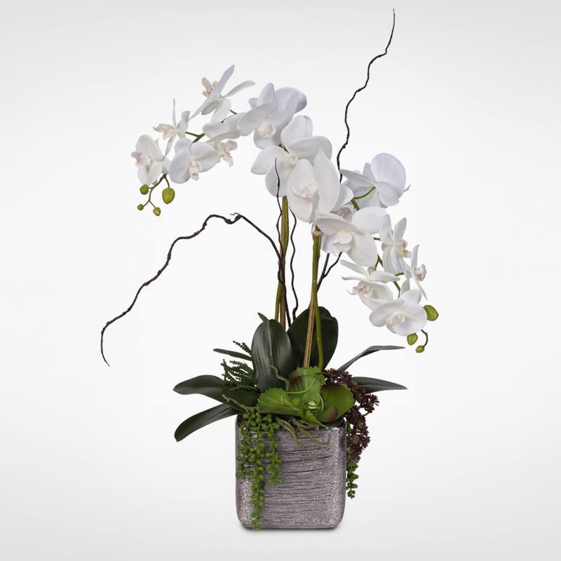 Real Touch White Phalaenopsis Orchids With Succulents in Silver Ceramic Pot