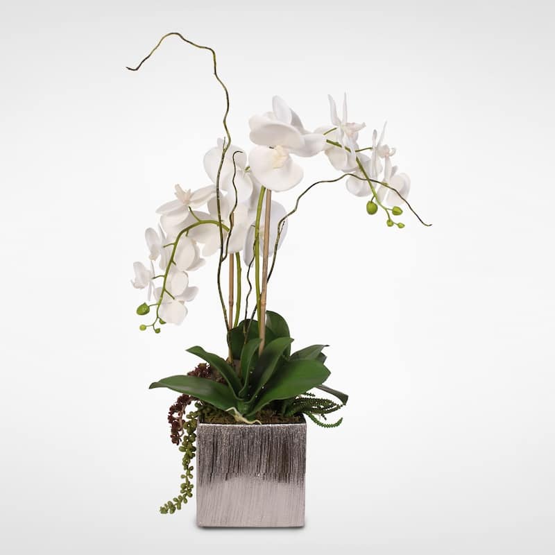 Real Touch White Phalaenopsis Orchids With Succulents in Silver Ceramic Pot
