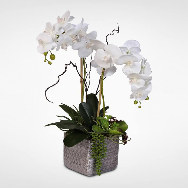 Real Touch White Phalaenopsis Orchids With Succulents in Silver Ceramic Pot