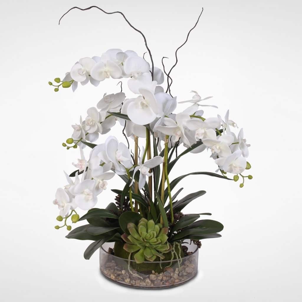 Real Touch Orchid with Succulents - White