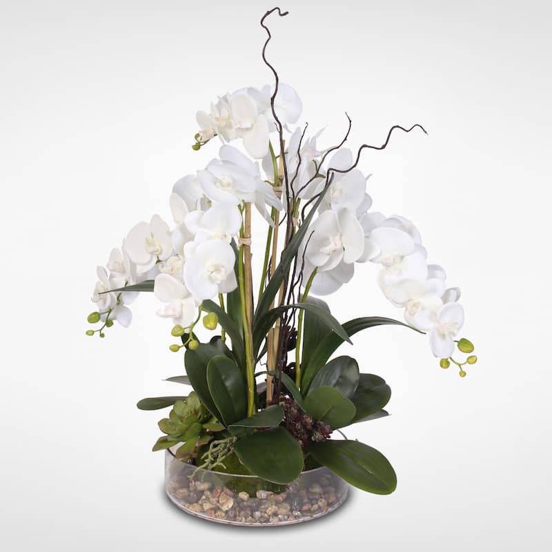 Real Touch Orchid with Succulents - White