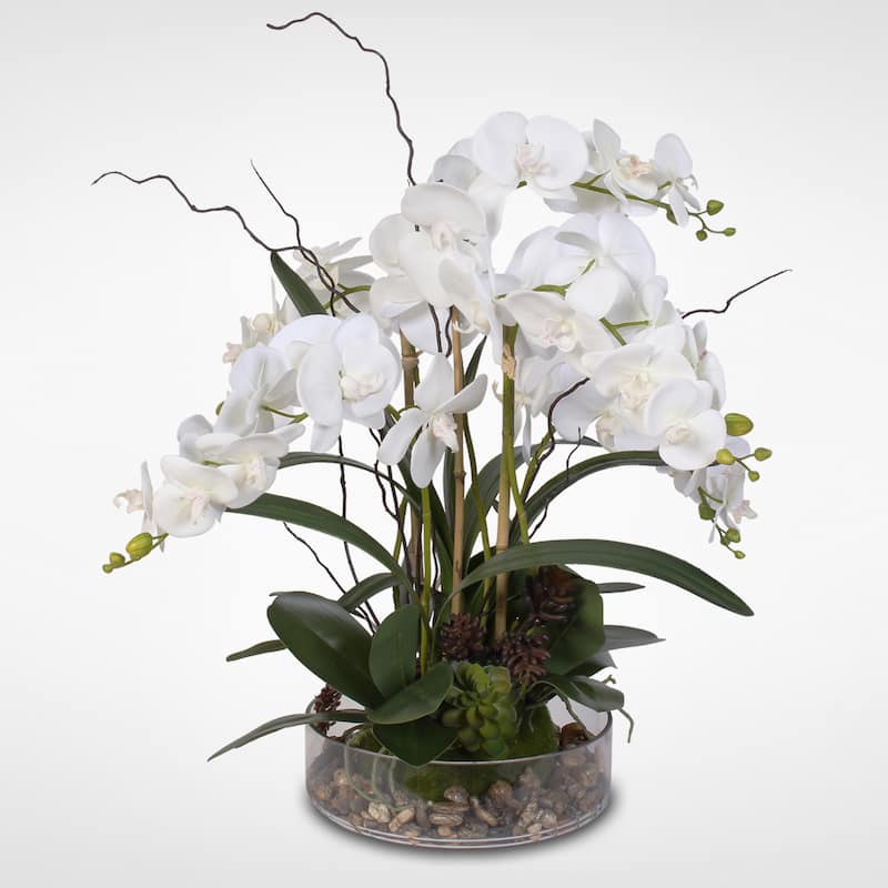 Real Touch Orchid with Succulents - White