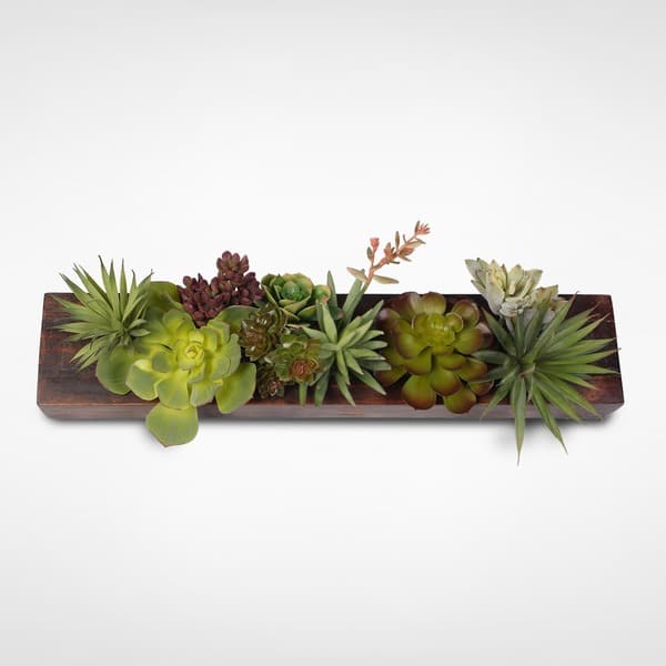 Shop Decorative Succulent Arrangement In Pine Wood Rectangle