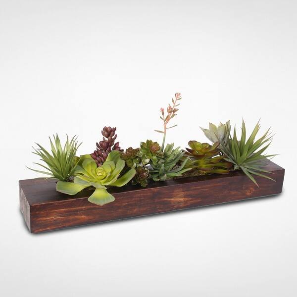 Shop Decorative Succulent Arrangement In Pine Wood Rectangle