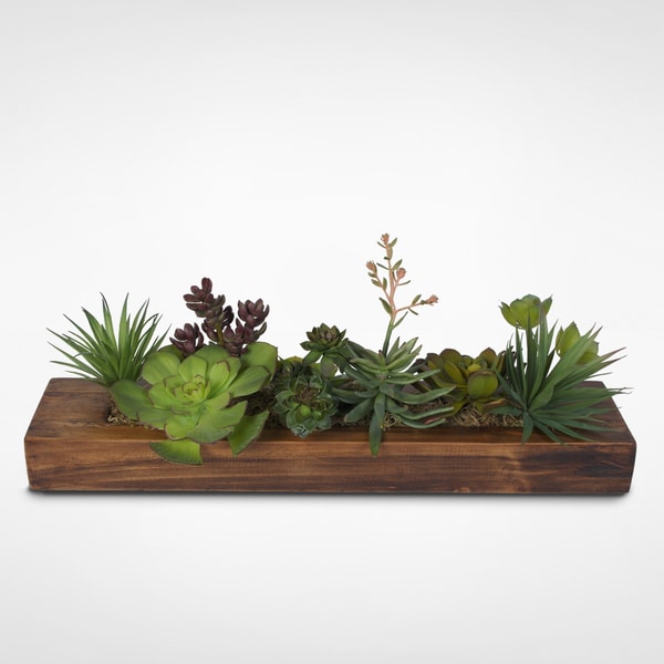 Decorative Succulent Arrangement i   n Pine Wood Rectangle 