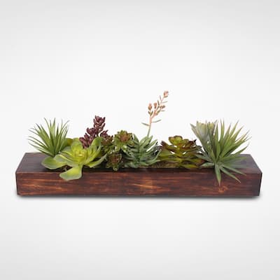 Decorative Succulent Arrangement in Pine Wood Rectangle Planter