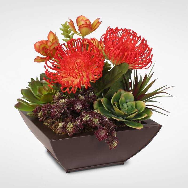 Contemporary Orange Tropical Succulent Arrangement