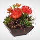 preview thumbnail 4 of 3, Contemporary Orange Tropical Succulent Arrangement