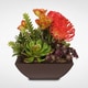 preview thumbnail 2 of 3, Contemporary Orange Tropical Succulent Arrangement