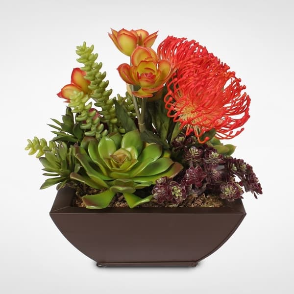 slide 2 of 5, Contemporary Orange Tropical Succulent Arrangement