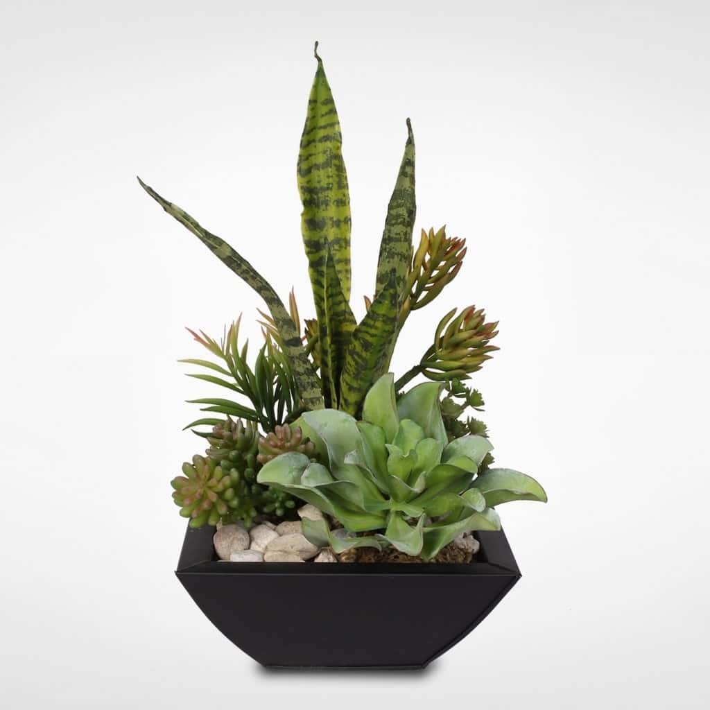 Blooming Succulent Arrangement in Metal Pot