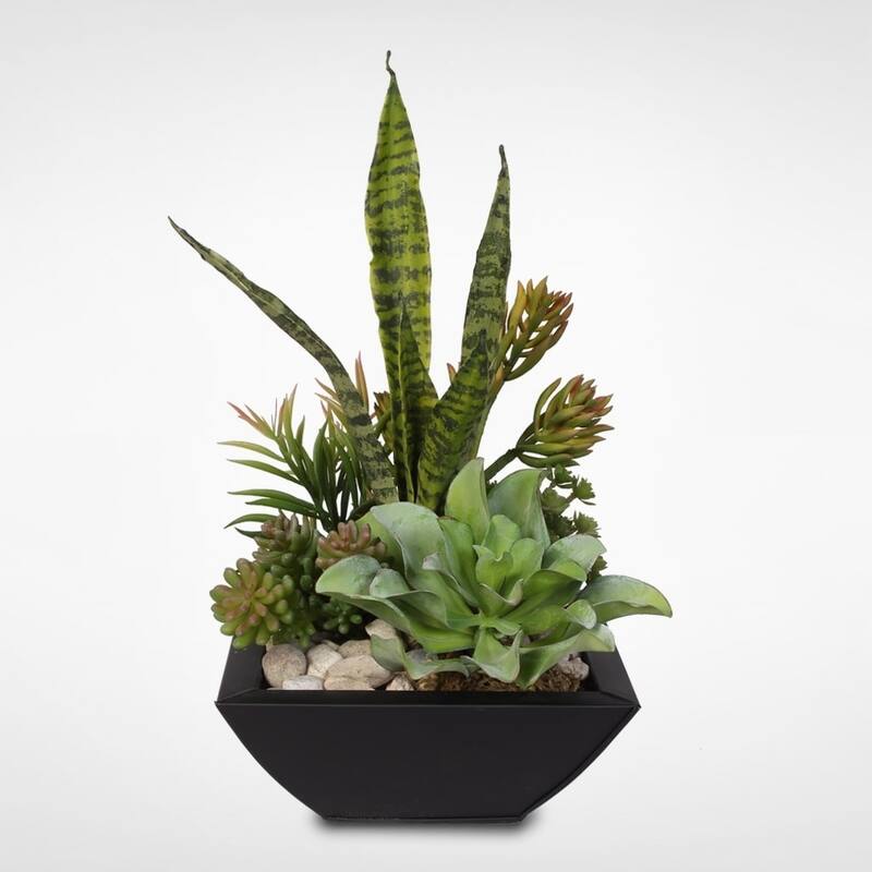 Blooming Succulent Arrangement in Metal Pot