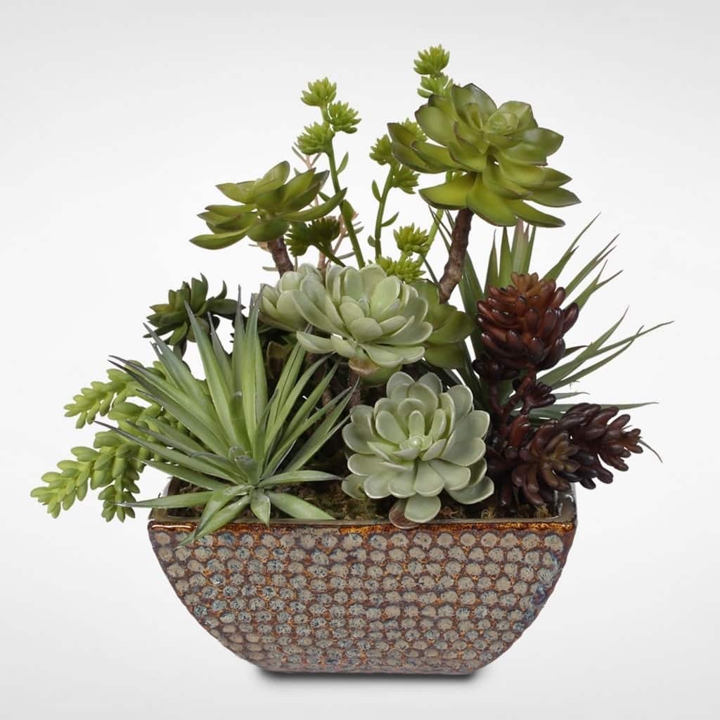 Ceramic Pot Succulent Centerpiece