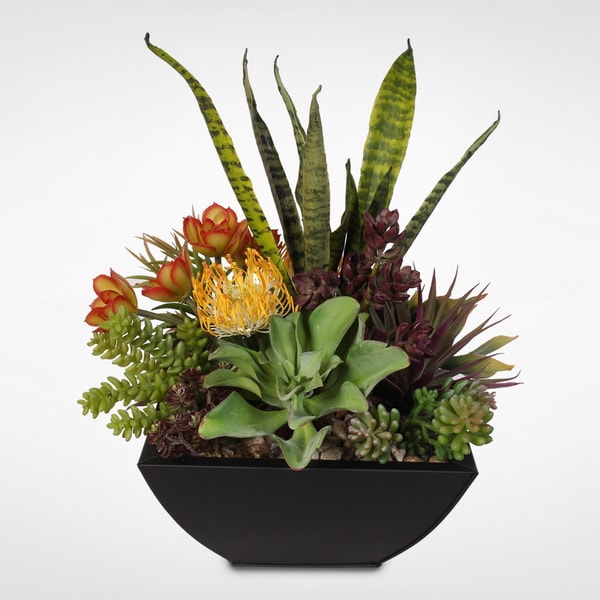 Decorative Succulent Centerpiece in Metal Container - Free Shipping ...