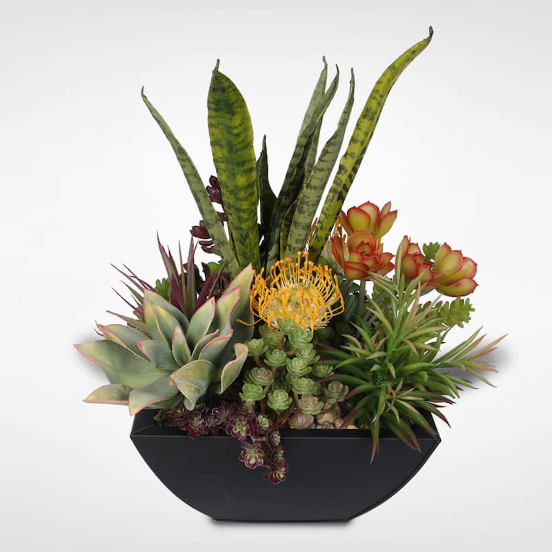 Decorative Succulent Centerpiece