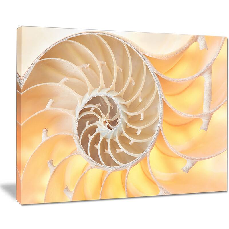 Golden Nautilus Shell Pattern - Abstract Art Canvas Print
