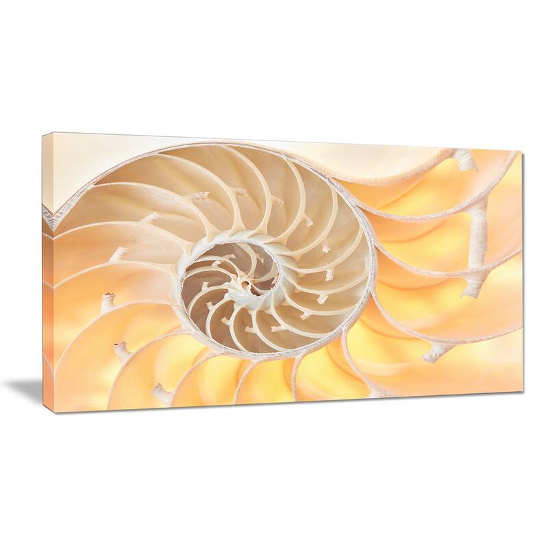 Golden Nautilus Shell Pattern - Abstract Art Canvas Print