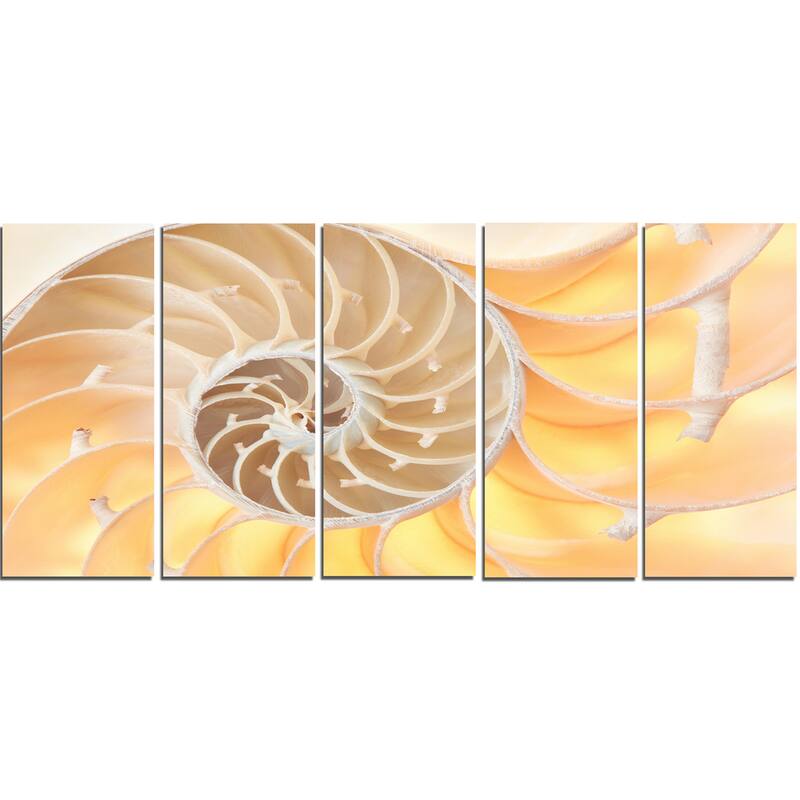 Golden Nautilus Shell Pattern - Abstract Art Canvas Print