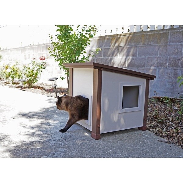 ecoflex feral cat house