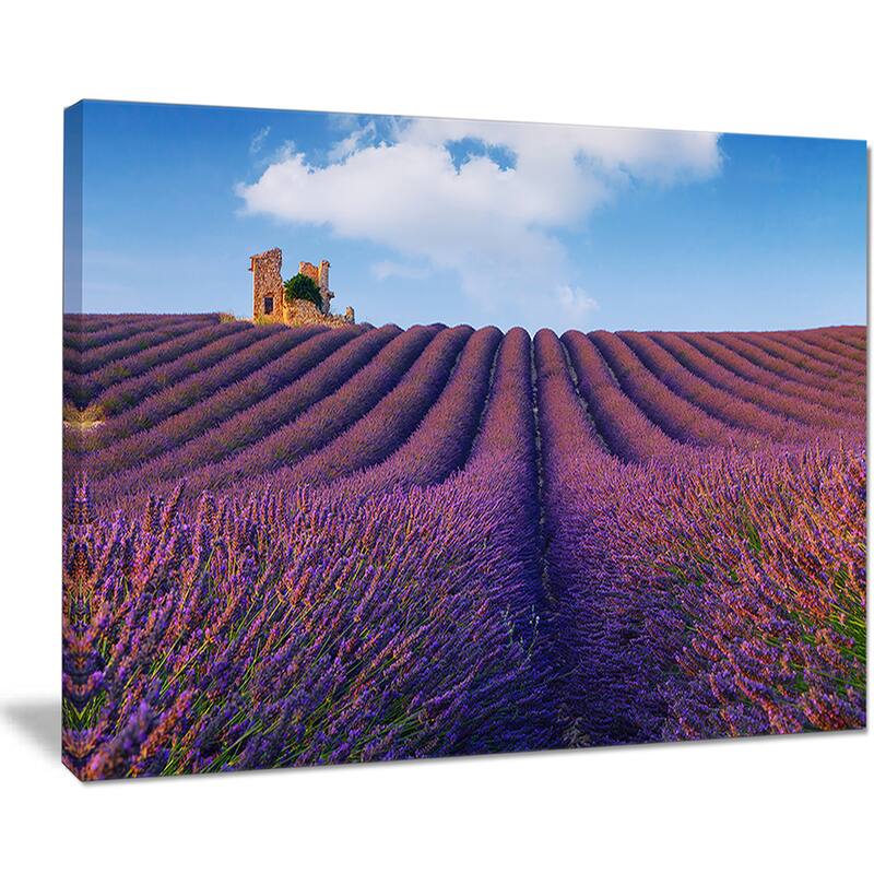 Purple Lavender Field - Landscape Photography Canvas Print - On Sale ...