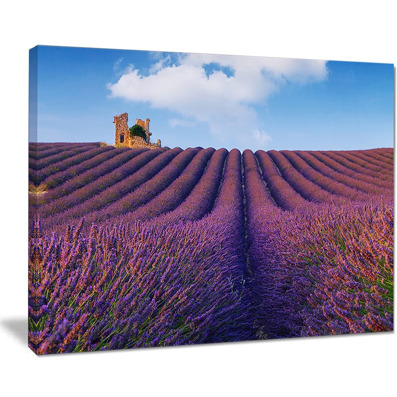 Purple Lavender Field - Landscape Photography Canvas Print - Bed Bath ...