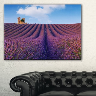 Purple Lavender Field - Landscape Photography Canvas Print - Bed Bath ...