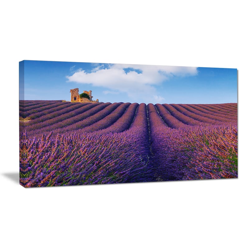 Purple Lavender Field - Landscape Photography Canvas Print - Bed Bath ...