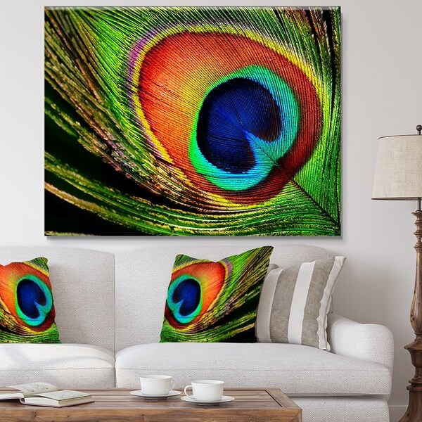 Peacock Feather - Photography Canvas Art Print - Green - Overstock ...
