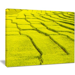 Cagbas Rice Field Rice Field View - Landscape Photography Canvas Print - Green - Bed Bath ...