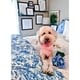 preview thumbnail 5 of 4, Poppy & Fritz Brooke Cobalt and White Paisley Cotton Duvet Cover Set
