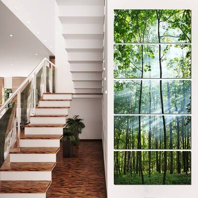 Green Sunny Forest - Landscape Photography Canvas Print