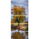 preview thumbnail 5 of 7, Willow Near Pond - Landscape Photography Canvas Art Print - Green
