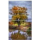 preview thumbnail 4 of 7, Willow Near Pond - Landscape Photography Canvas Art Print - Green