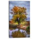 preview thumbnail 3 of 7, Willow Near Pond - Landscape Photography Canvas Art Print - Green