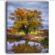 preview thumbnail 2 of 7, Willow Near Pond - Landscape Photography Canvas Art Print - Green
