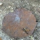 preview thumbnail 5 of 7, Handmade 24-inch Painted Tree of Life Heart Metal Wall Art (Haiti)