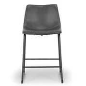 Adan Iron Frame Faux Leather Dining Chair (Set of 2)