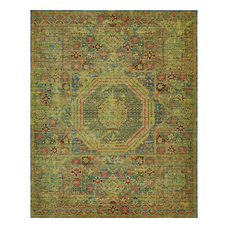 Nourison Timeless TML06 Area Rug