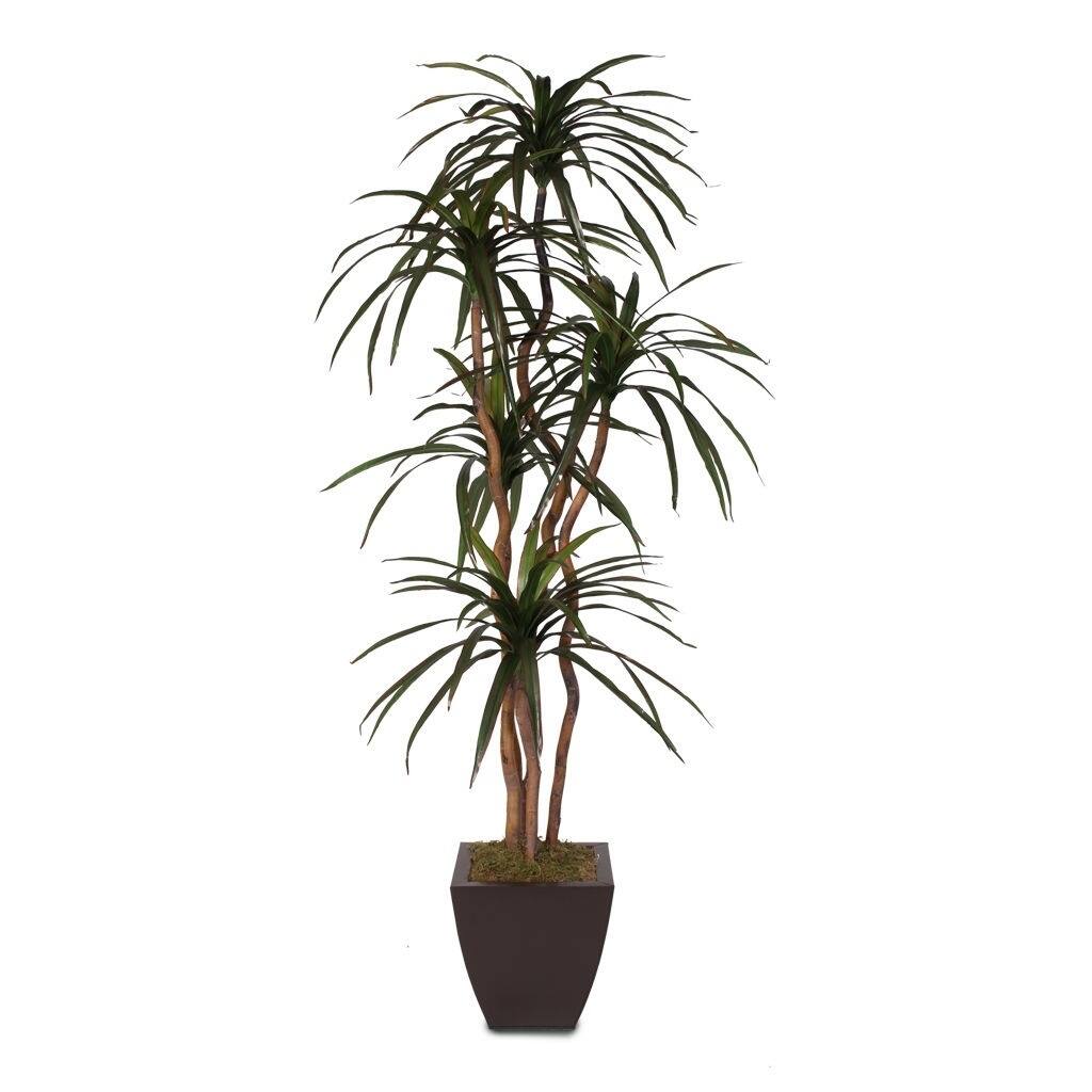 Faux 6-feet Yucca Tree in Metal Container