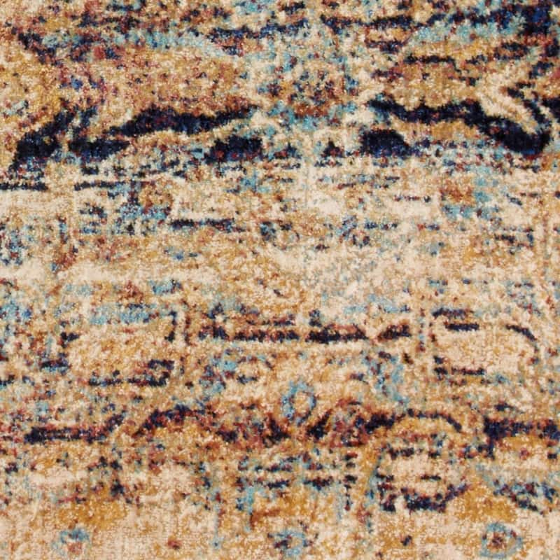 Alexander Home Contessa Traditional Distressed Area Rug