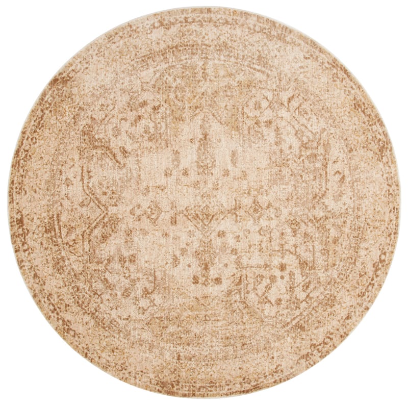 Alexander Home Contessa Shabby Chic Medallion Distressed Rug