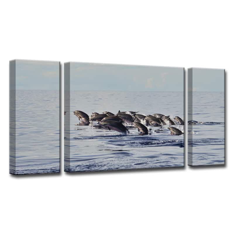 Free at Sea' Canvas Art by Chris Doherty