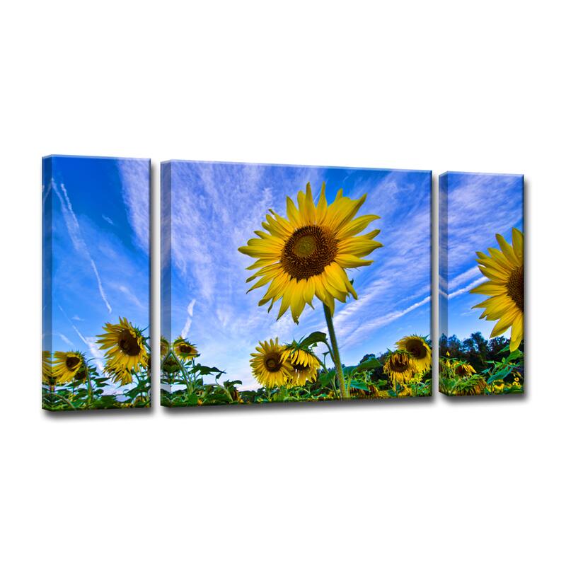 Queen of the Field' Canvas Art by Chris Doherty