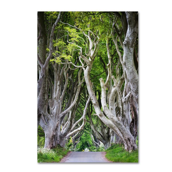 Philippe Sainte-Laudy 'Down There' Canvas Art