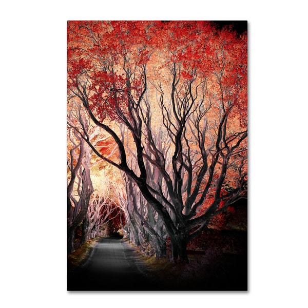 Philippe Sainte-Laudy 'Powerful One' Canvas Art