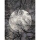 preview thumbnail 13 of 20, Nourison Twilight Area Rug 12' x 15' - Black/Grey - Rectangle