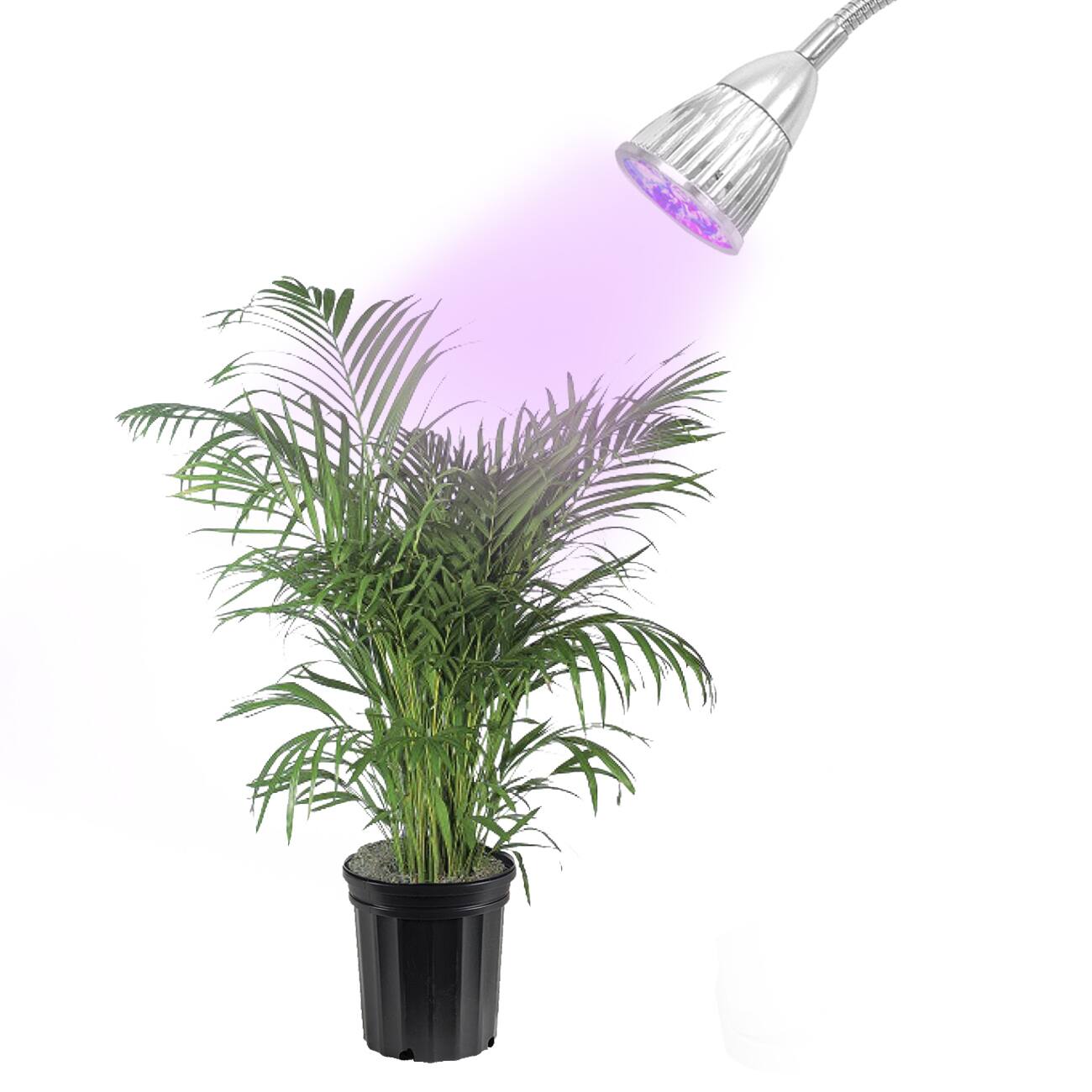 Buy Grow Lights Online at Overstock Our Best Gardening Deals