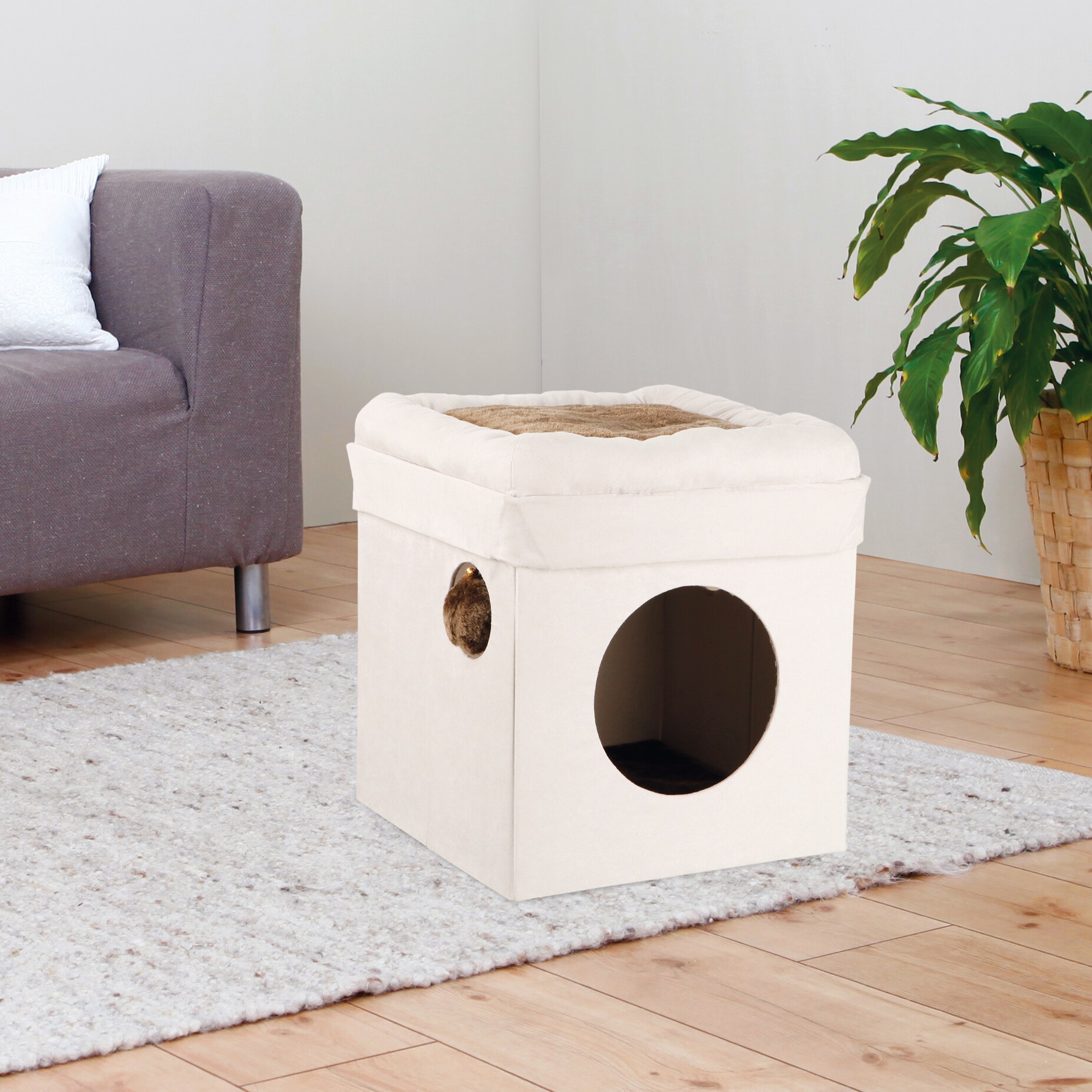 collapsible cat house